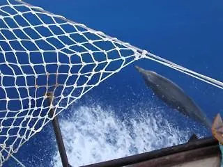 Hotel Racing With Glory Dolphins Fethiye