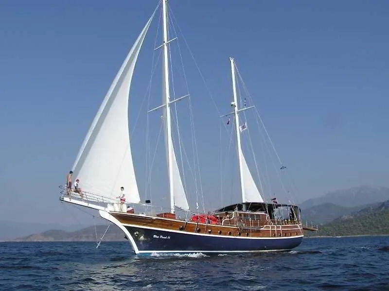 Hotel Racing With Glory Dolphins Fethiye
