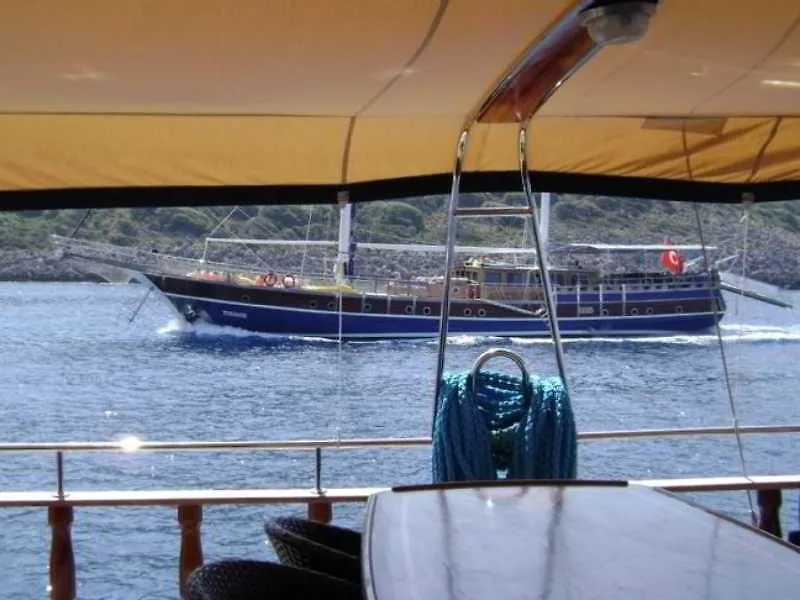 Hotel Racing With Glory Dolphins Fethiye