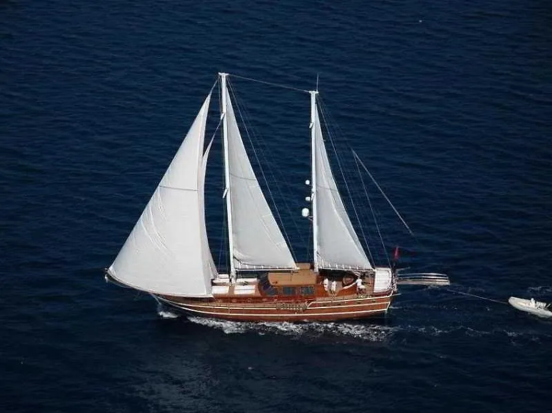 Hotel Racing With Glory Dolphins Fethiye